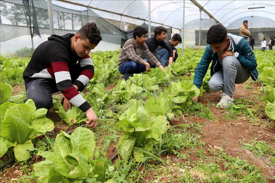 "Ata tohumları" öğrencilerin elinde hayat bulacak