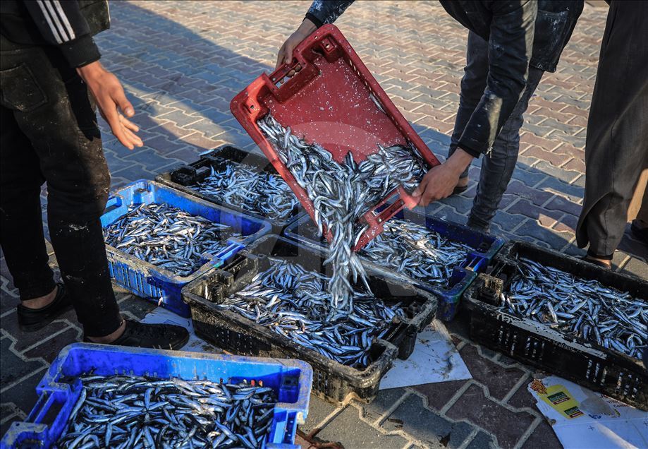 Israel increase fishing zone at Gaza's coast