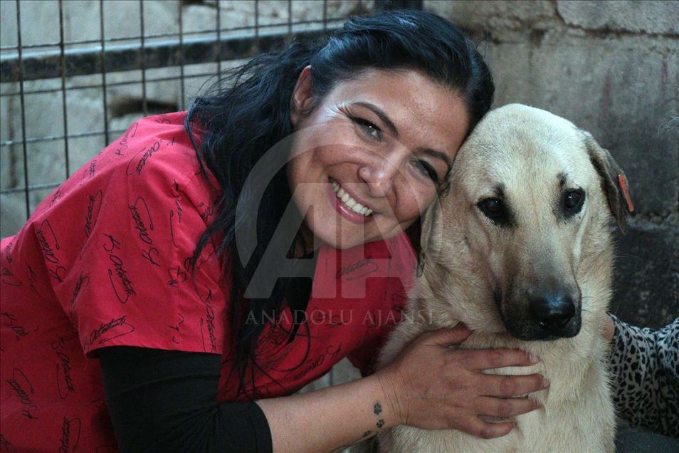 El perro 'Kuyu' vuelve a la vida