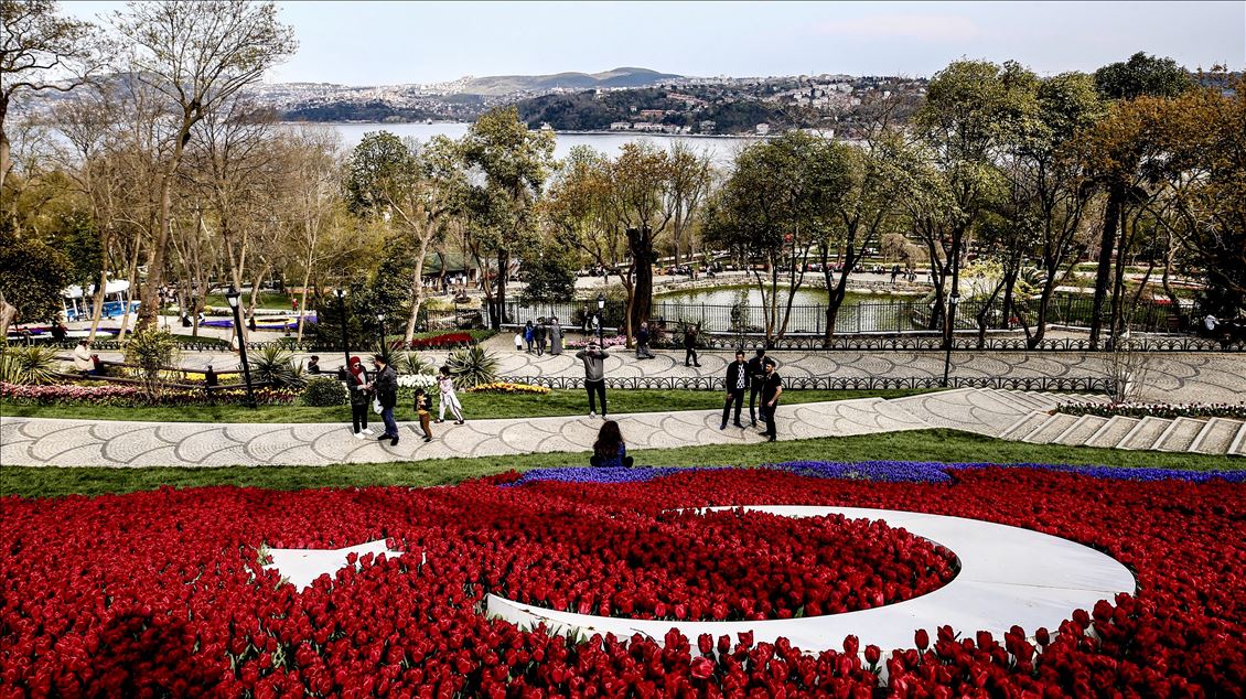 Tulips in Istanbul's Emirgan Park
