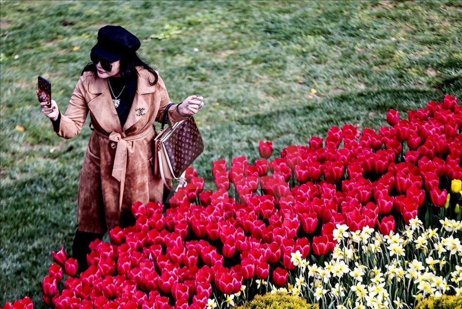 Bunga Tulip bermekaran di Taman Emirgan Istanbul
