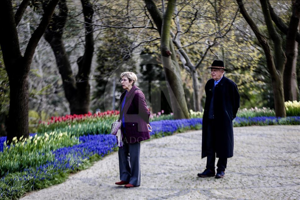 Bunga Tulip bermekaran di Taman Emirgan Istanbul