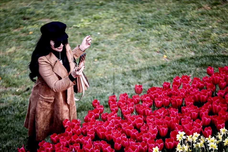 Bunga Tulip bermekaran di Taman Emirgan Istanbul
