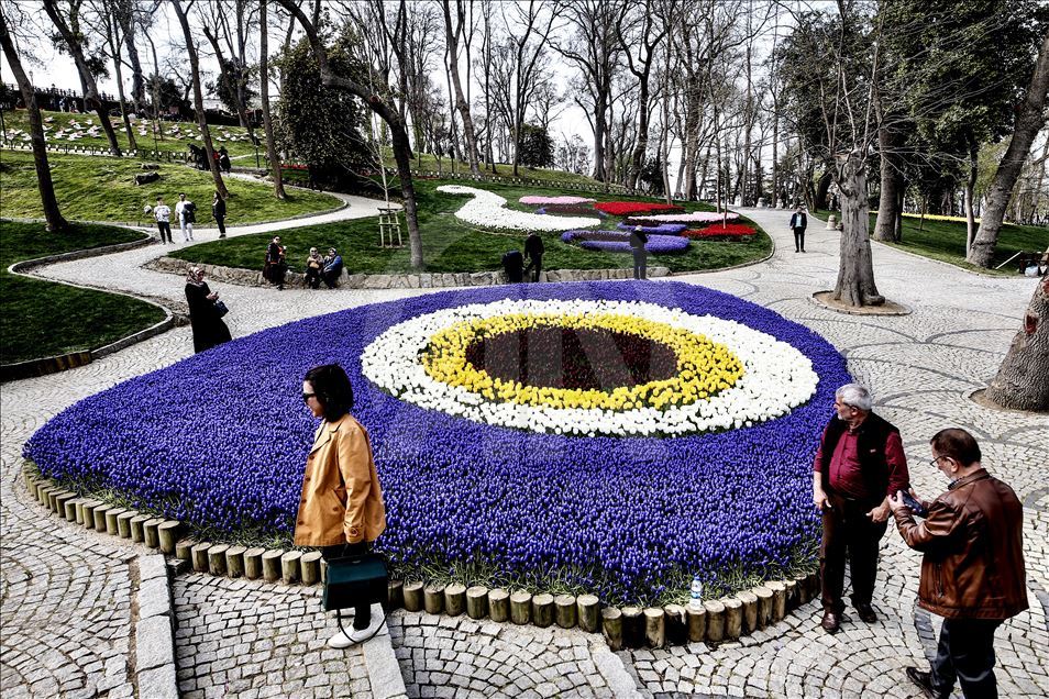 Bunga Tulip bermekaran di Taman Emirgan Istanbul
