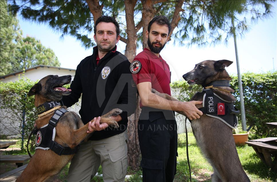 Kayıp yakınlarının umudu: "Melo" ve "Kuşka"