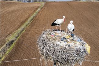 La vallée du Tigre et ses incontournables cigognes