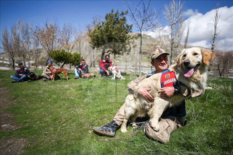 Jandarma Köpek Timleri ile ilgili görsel sonucu