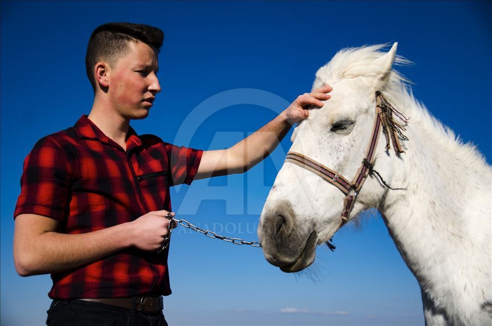 Любовь к лошадям у крымских татар в крови
