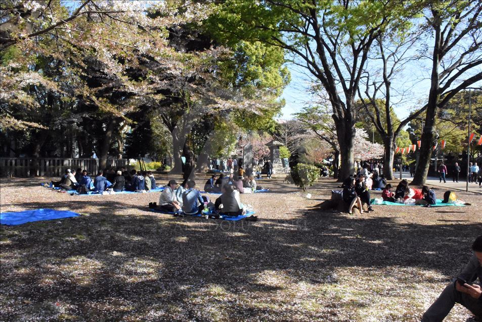 پارک اوئنو در توکیوی ژاپن