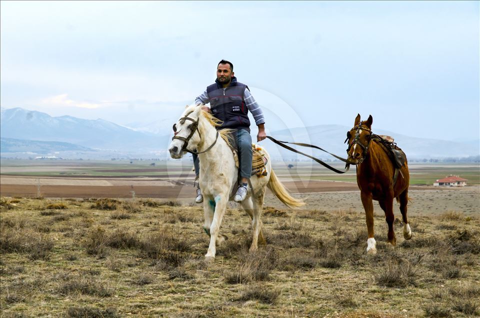 Любовь к лошадям у крымских татар в крови
