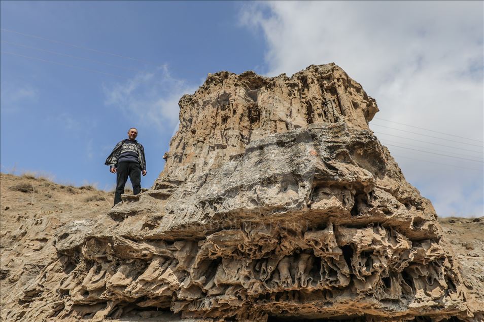 Microbialites in Lake Van