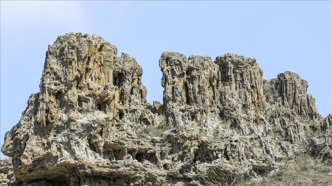 Microbialites in Lake Van