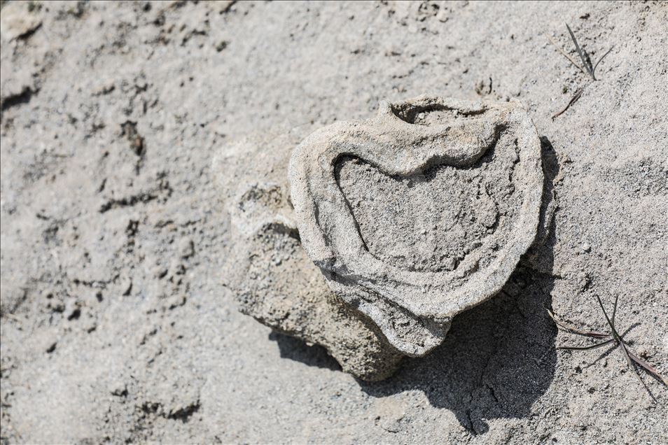 Microbialites in Lake Van