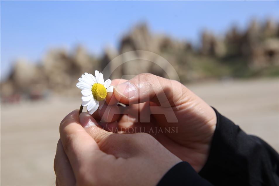 Kapadokya "çiçek açtı"