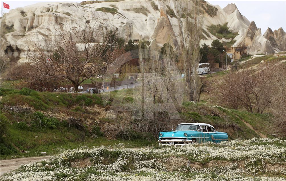 Kapadokya "çiçek açtı"