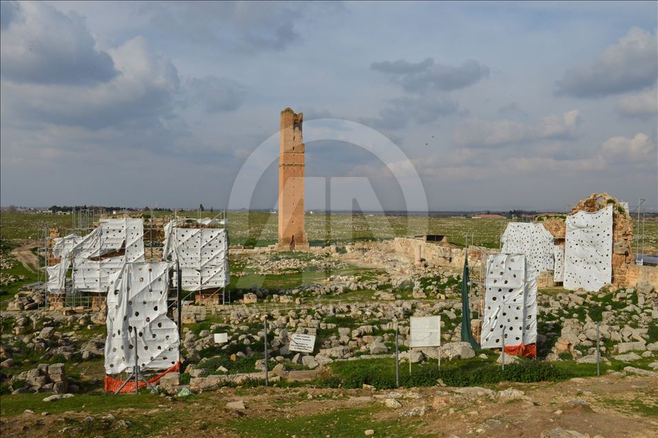 Şanlıurfa'ya 