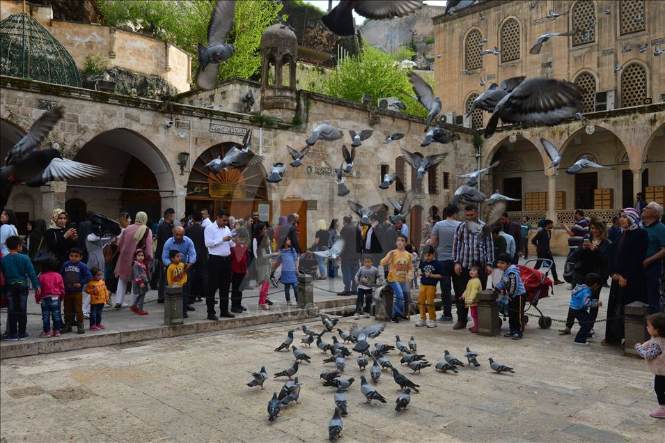 Şanlıurfa'ya 