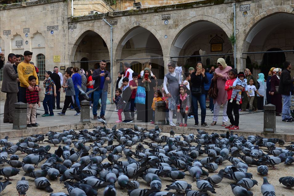 Şanlıurfa'ya 