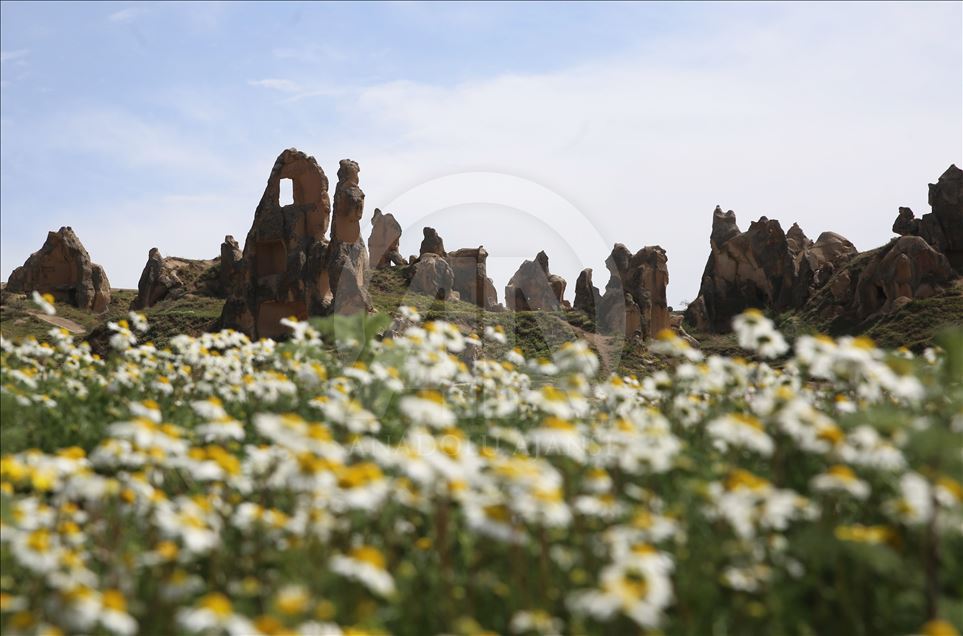 Kapadokya "çiçek açtı"