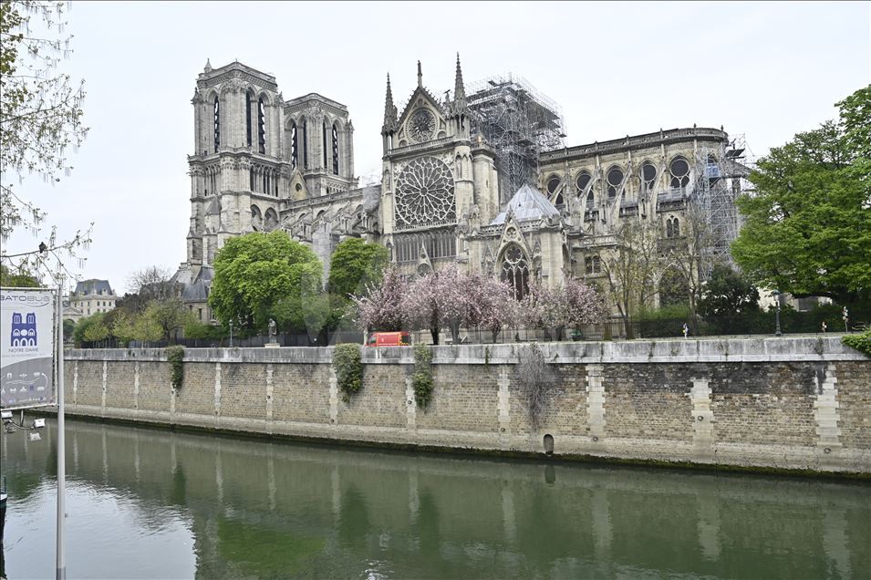 Cathedral of Notre-Dame of Paris fire aftermath