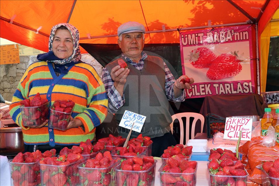 Aydın'da veganları buluşturan festival
