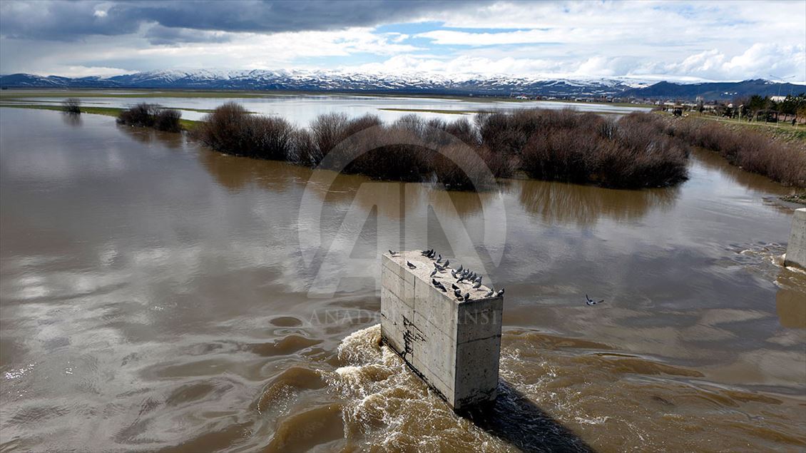 Ardahan'daki Kura Nehri taştı