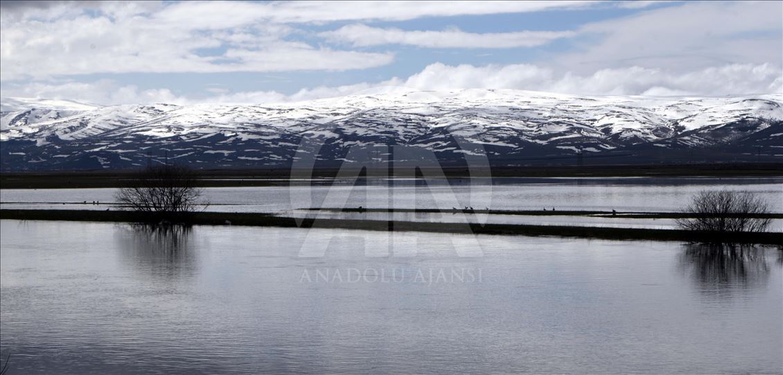 Ardahan'daki Kura Nehri taştı