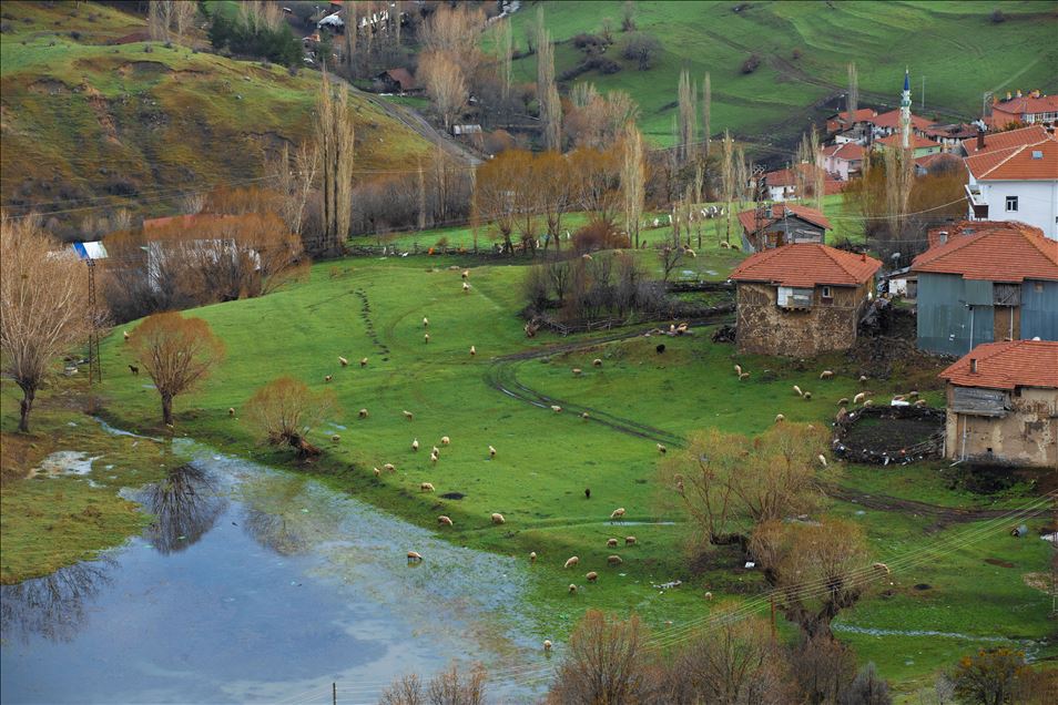 Ankara'da bahar