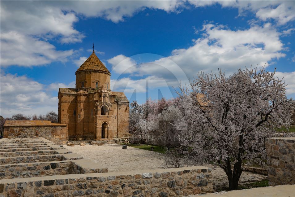 Çiçeklere bürünen Akdamar Adası görsel şölen sunuyor