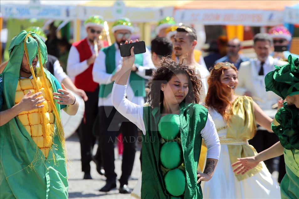 Aydın'da veganları buluşturan festival
