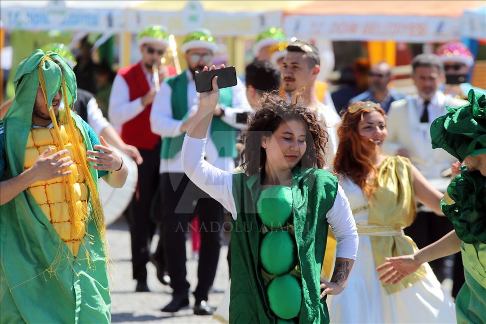 Aydın'da veganları buluşturan festival
