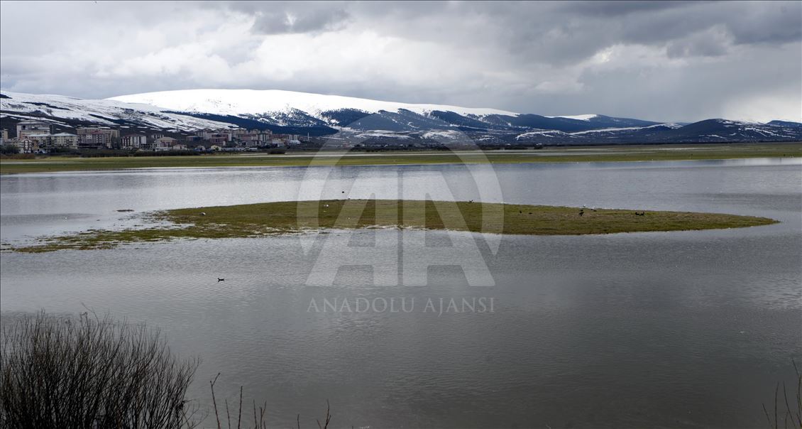Ardahan'daki Kura Nehri taştı