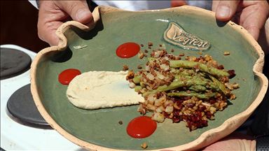Aydın'da veganları buluşturan festival