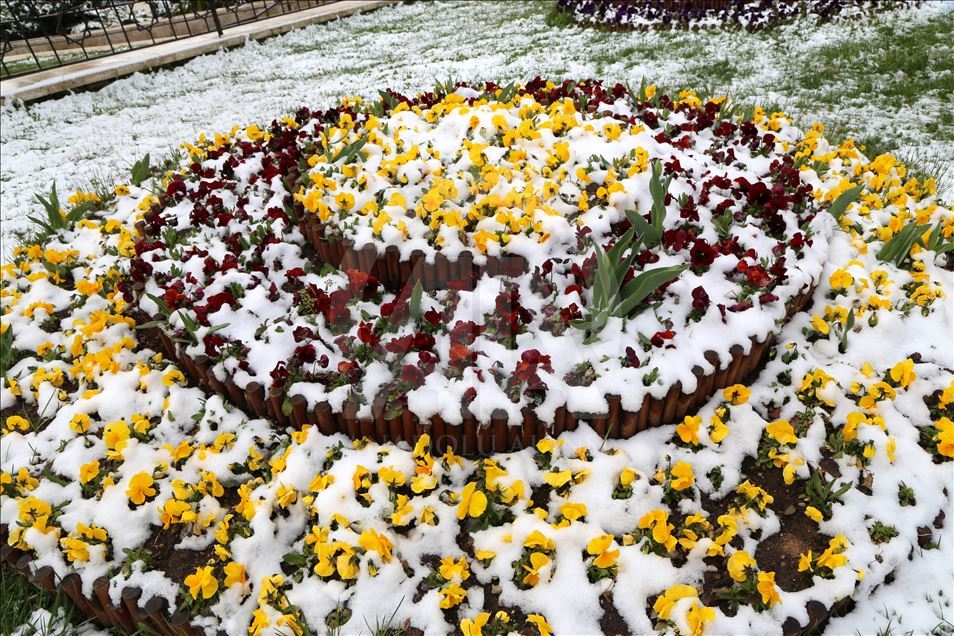 Sivas'ta kar yağışı