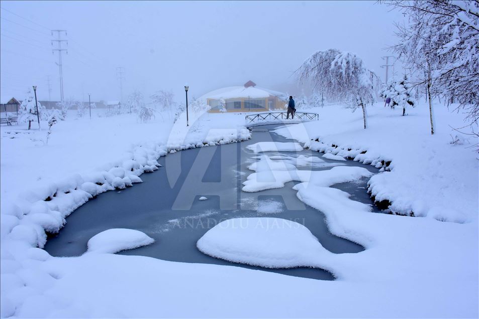 Kar yağdı, 82 yerleşim yerinin yolu kapandı