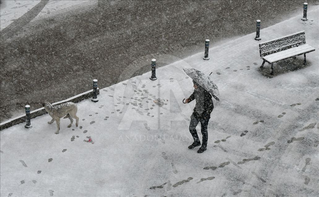 Kars'ta kar yağışı