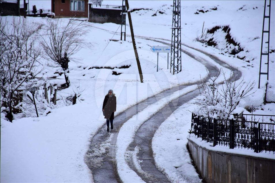 Kar yağdı, 82 yerleşim yerinin yolu kapandı