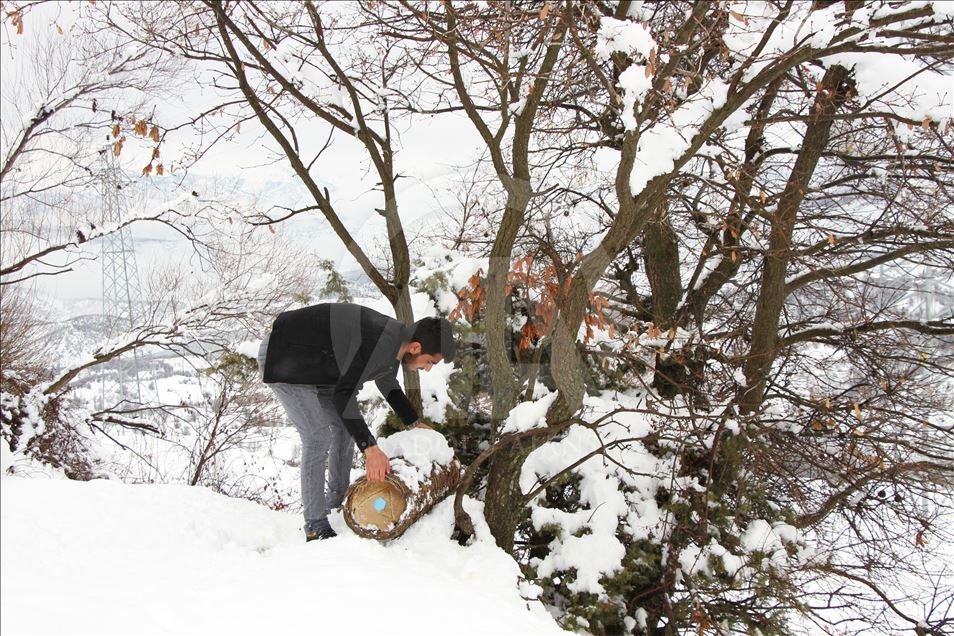 Kar yağdı, 82 yerleşim yerinin yolu kapandı