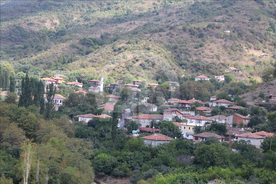 Denizle dağın, kirazla bağın buluştuğu mavi gözlü kent: Tekirdağ