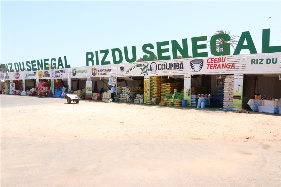 السنغال.. انطلاق معرض الزراعة والثروة الحيوانية في نسخته الـ 20
