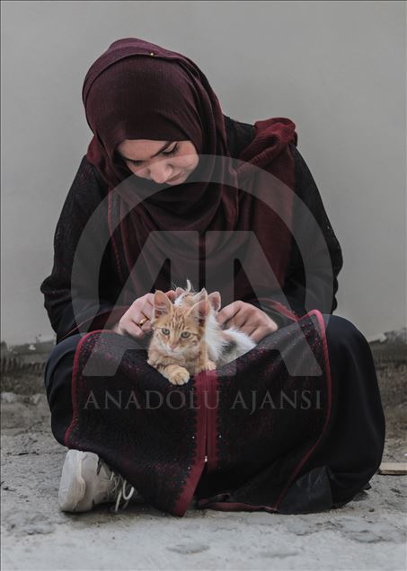 حمایت دختران فلسطینی از گربه‌های خیابانی در غزه