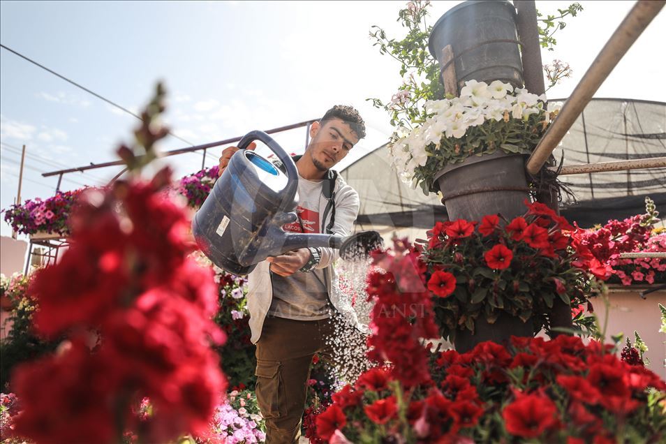 زهور غزة تواسي معاناة أهلها