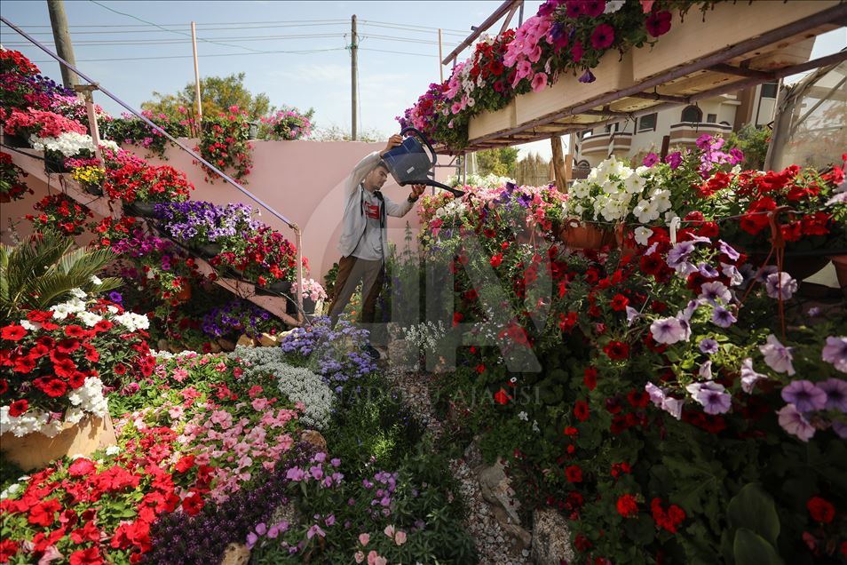 زهور غزة تواسي معاناة أهلها