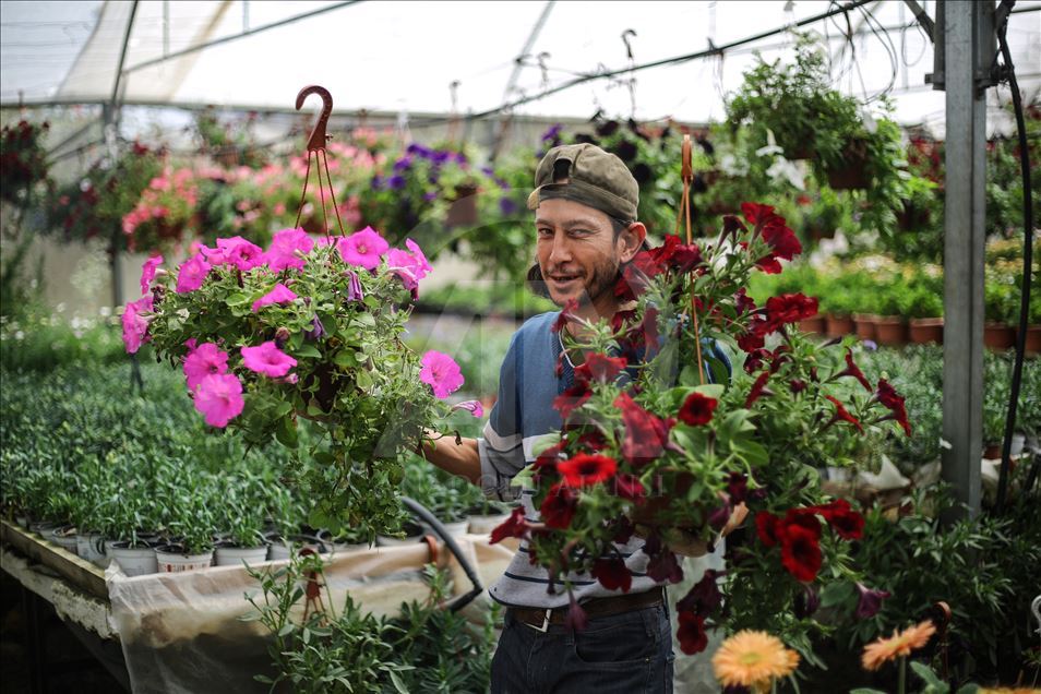 زهور غزة تواسي معاناة أهلها