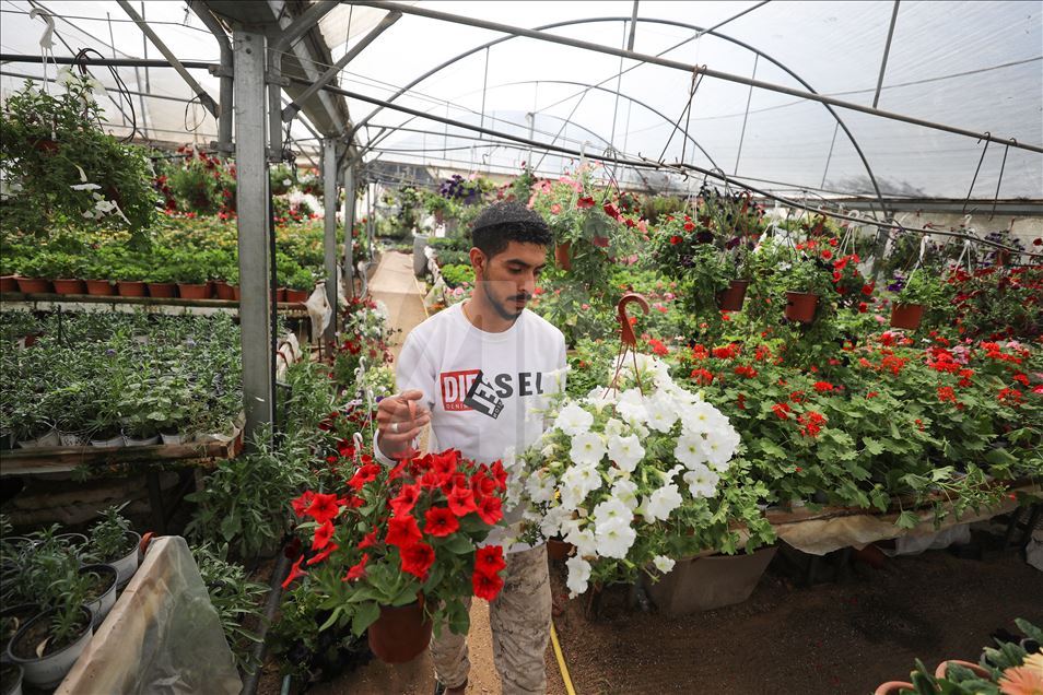 زهور غزة تواسي معاناة أهلها