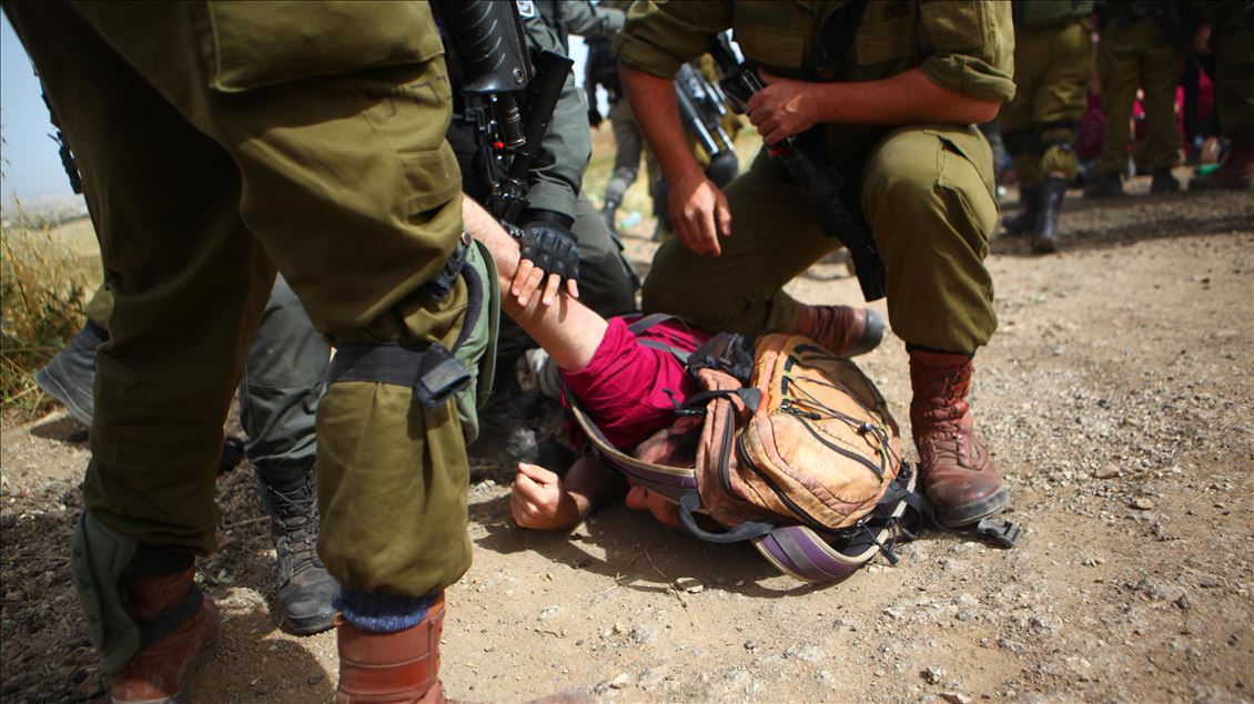 Israeli soldiers detain foreign pro-Palestinian activists in West Bank