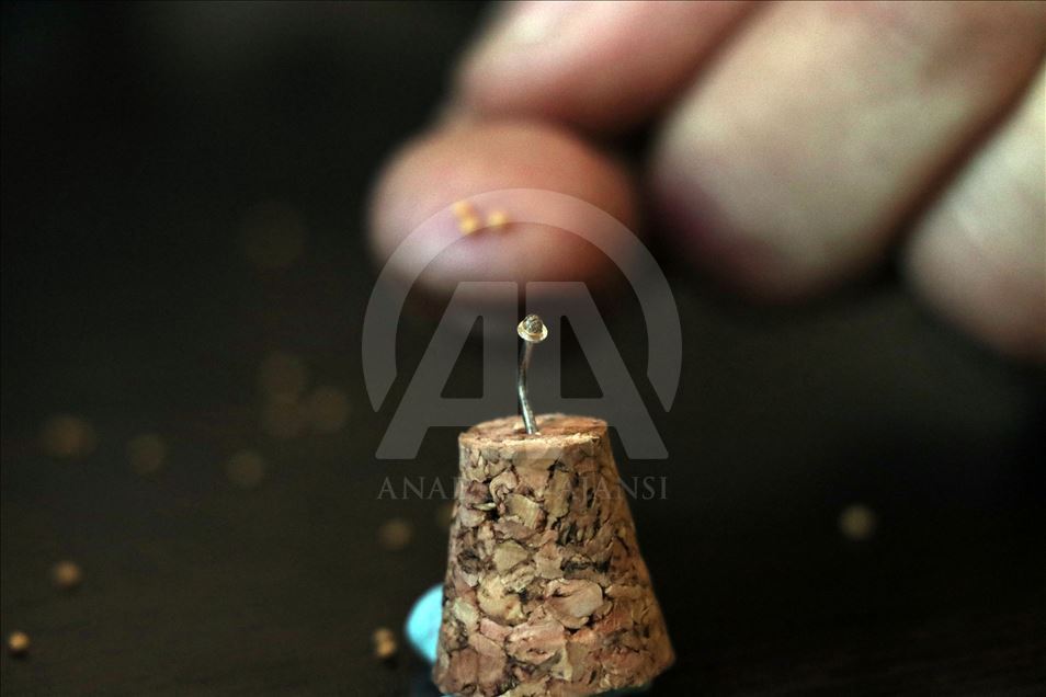 نووسینی سورهتی (الاخلاص) لهسهر تۆوی ههنجیر
