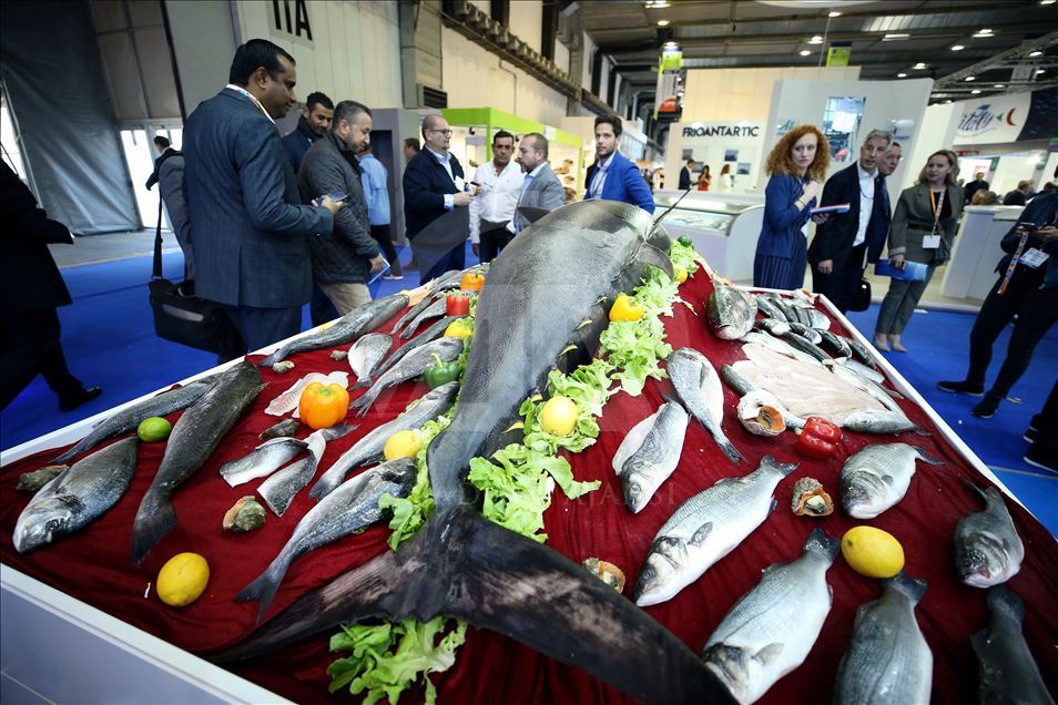 Seafood Expo Global In Brussels - Anadolu Ajansı