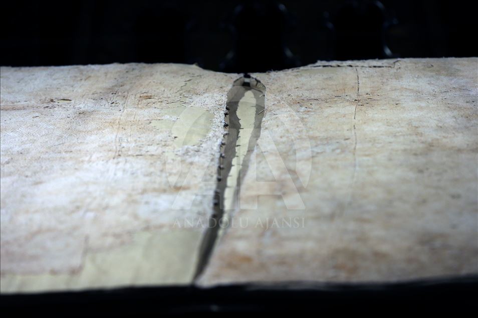 إسطنبول.. جامع "الخرقة الشريفة" يفتح أبوابه للراغبين برؤية البردة النبوية
