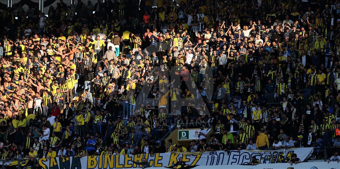 Fenerbahçe - Akhisarspor